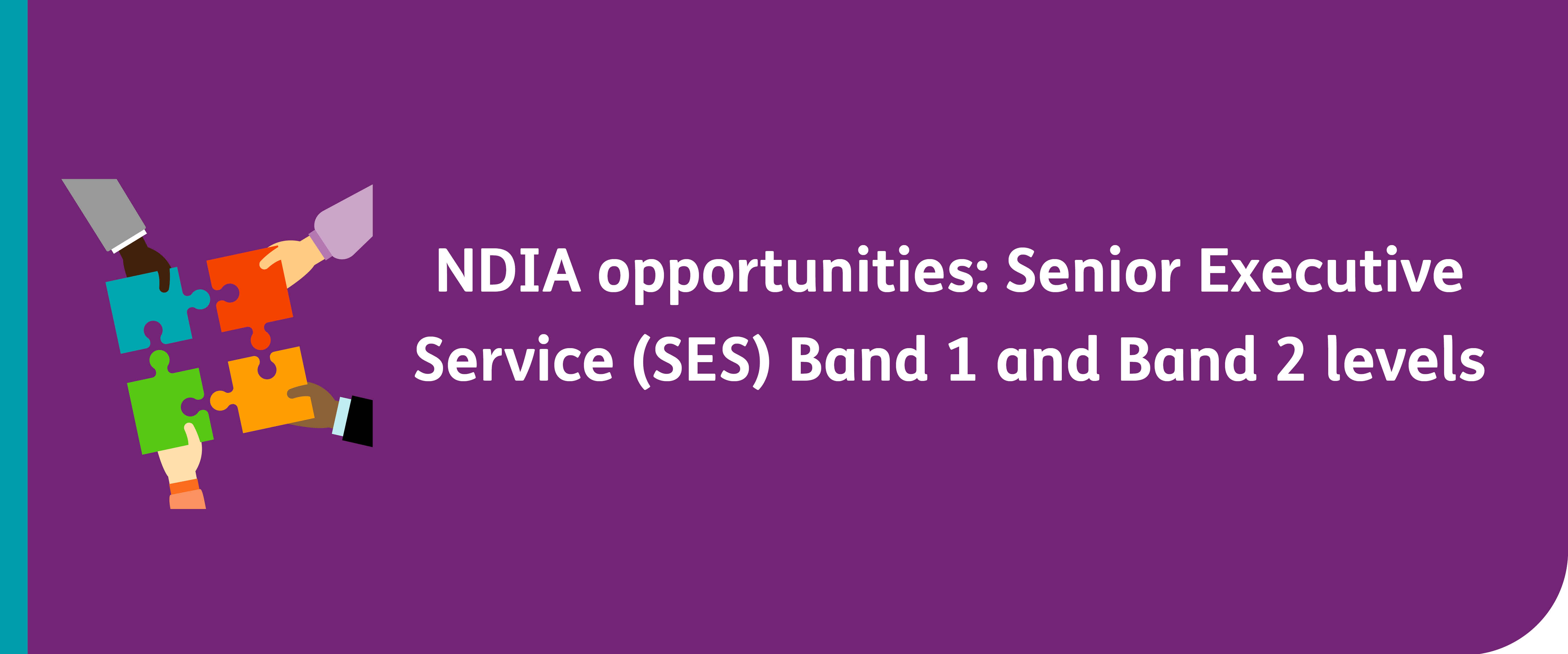 NDIA opportunities: Senior Executive Service (SES) Band 1 and Band 2 levels with a cartoon of 4 hands fitting puzzle pieces together